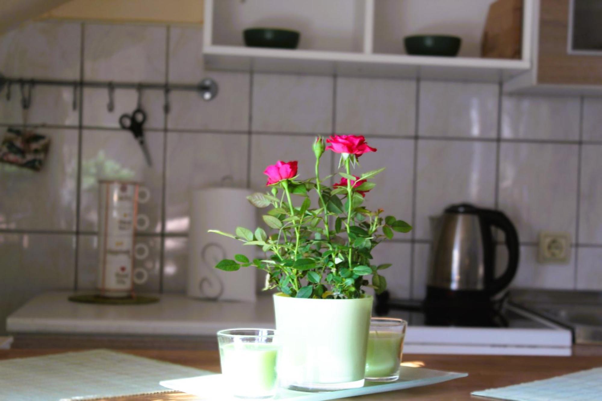 Svila Apartmani Bihać Eksteriør billede